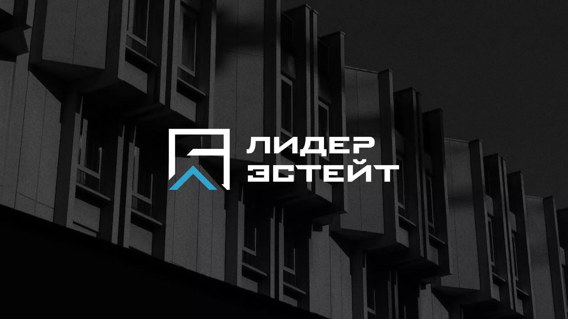 Разработка логотипа агентства недвижимости «Лидер Эстейт» в Видном
